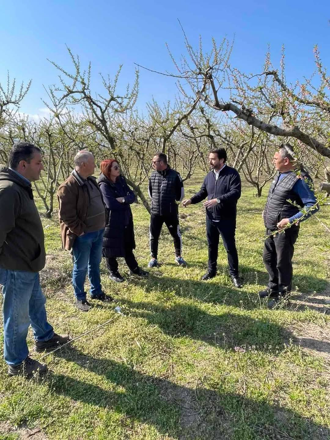 Επίσκεψη Μπαρτώκα σε περιοχές που επλήγησαν από τον παγετό